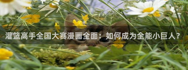 yy歪歪韩漫