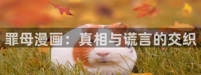 韩漫动漫网站：罪母漫画：真相与谎言的交织