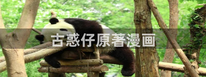 免费观看韩漫大全免费